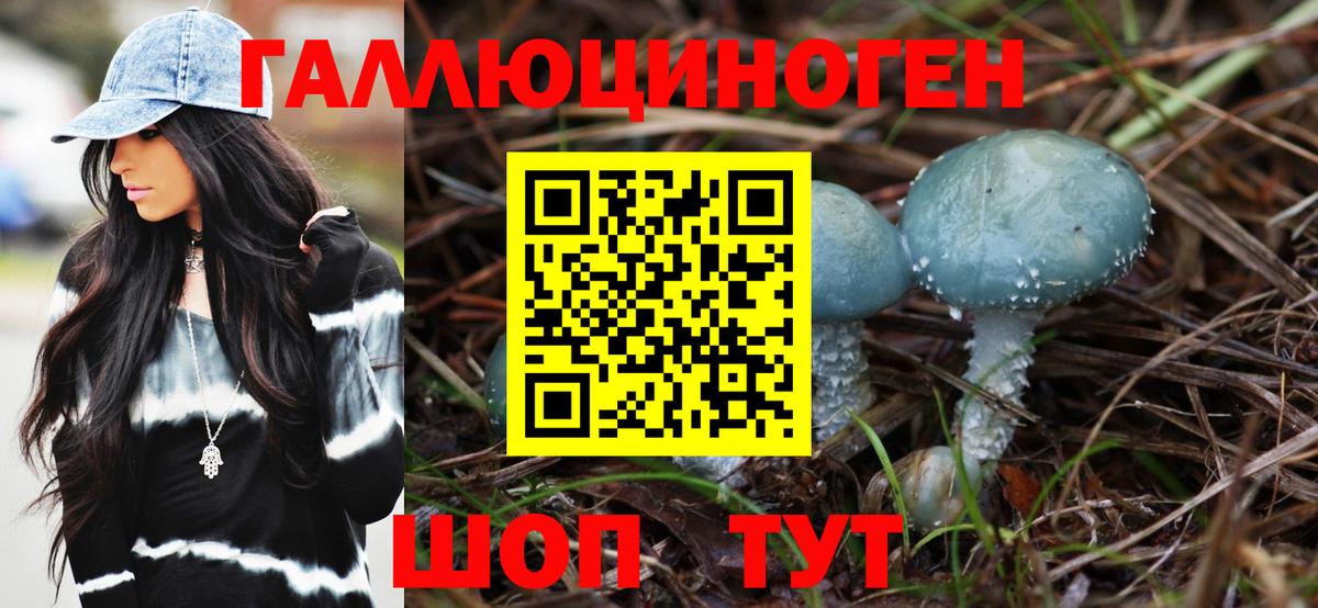 Галлюциногенные грибы MAGIC MUSHROOMS Качканар