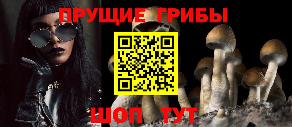 Галлюциногенные грибы Psilocybine cubensis  Вход с VPN  Качканар 